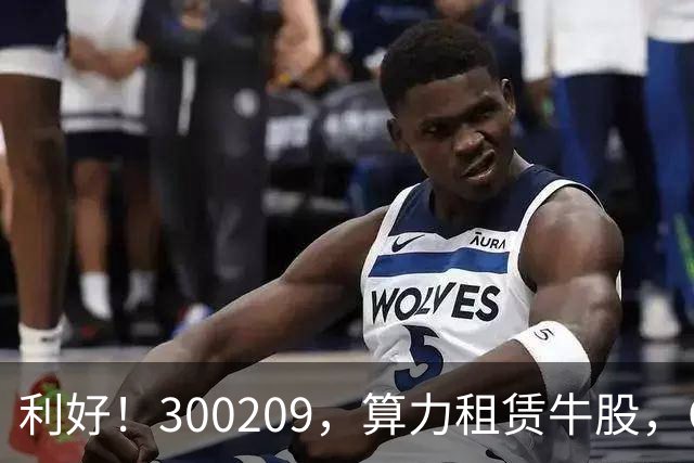 利好！300209，算力租赁牛股，Q3营收大增55倍