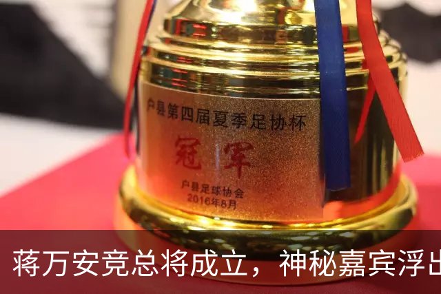 蒋万安竞总将成立，神秘嘉宾浮出水面？赵少康又专访绿营候选人